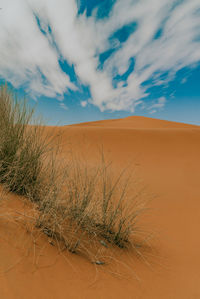 Scenic view of desert against sky