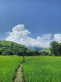 Scenic view of field against sky