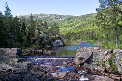 Scenic view of river and mountain