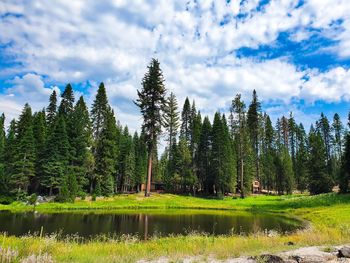 Scenic view of lake in forest against sky