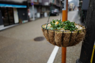 Close-up of food on table