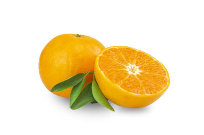 Close-up of orange against white background