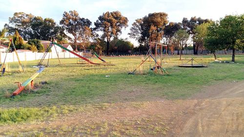 Trees in park
