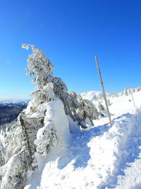 Scenic view of snowcapped mountains against clear blue sky