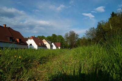 Houses on field by trees against sky