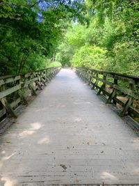 Footbridge in forest