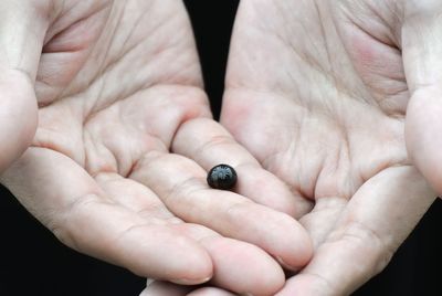 Close-up of hands holding a seed