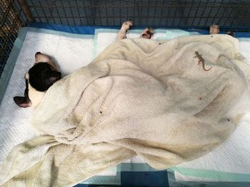 High angle view of man sleeping