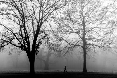 Silhouette bare trees on field during foggy weather