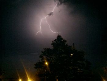 Low angle view of illuminated tree against sky at night