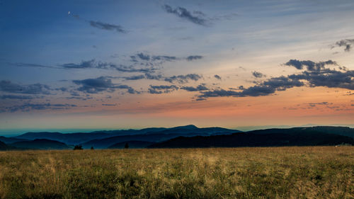 Scenic view of field against sky during sunset