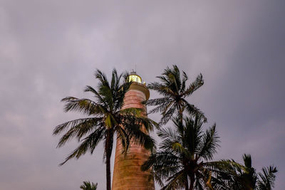 Low angle view of palm tree against sky