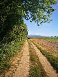 Road amidst agricultural field against sky