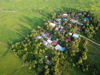 High angle view of trees and plants growing on field