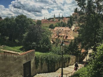 Trees against cloudy sky