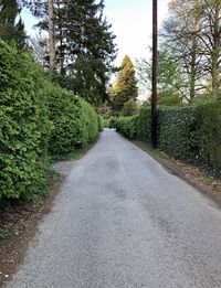 Empty road in forest against sky