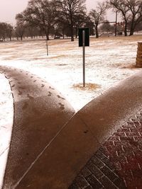 View of empty road in park