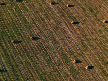 Full frame shot of agricultural field