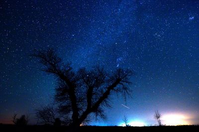 Low angle view of silhouette trees against clear sky at night