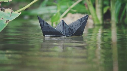 Close-up of a floating boat in the water