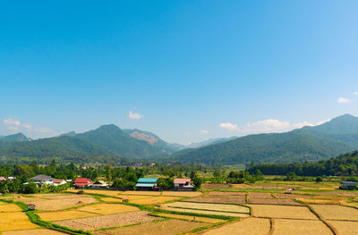 Scenic view of agricultural field against sky