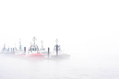 Boats moored at harbor against clear sky