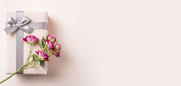 Close-up of purple flower against white background