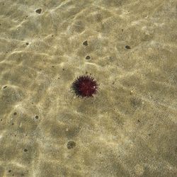 Full frame shot of white background