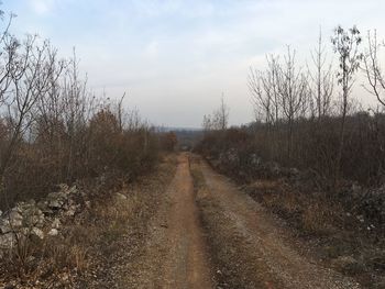 Dirt road amidst bare trees against sky