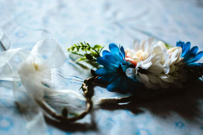 High angle view of white rose on blue wall