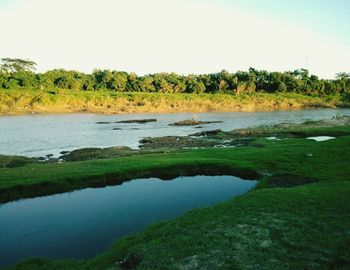 Scenic view of river with trees in background