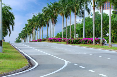 Palm trees amidst road in city