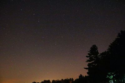 Low angle view of silhouette trees against star field at night