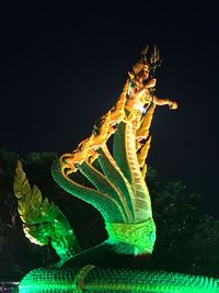 Close-up of turtle swimming in aquarium