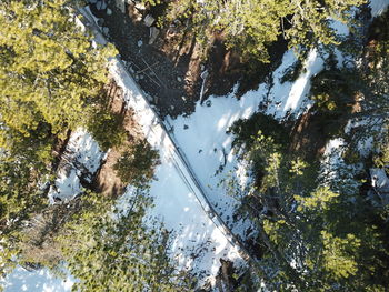 Reflection of trees and rocks in lake