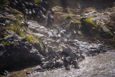 View of water flowing through rocks
