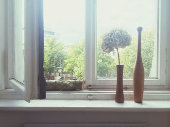 View of plants through window