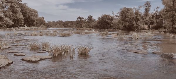 Scenic view of river against sky