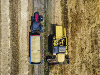 Harvesting scene in the italian countryside