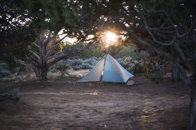 Tent on field in forest during sunset