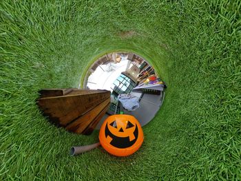 High angle view of pumpkin on grassy field