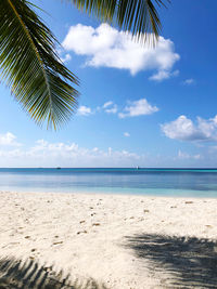 Scenic view of tropical beach