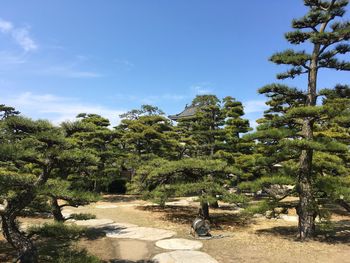 Trees on landscape against blue sky