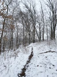 Bare trees on snow covered landscape