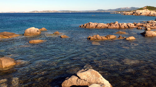 View of crab on rock by sea against sky