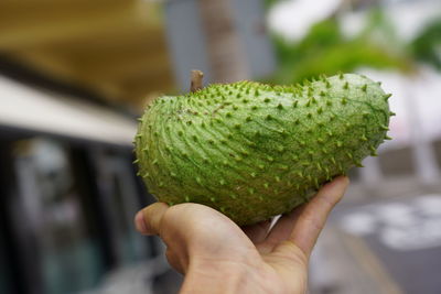 Close-up of hand holding fruit