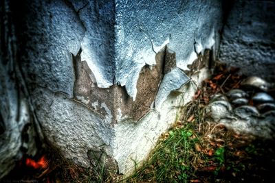 Close-up of peeled wall