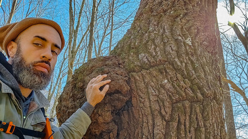 Low angle view of man on tree trunk