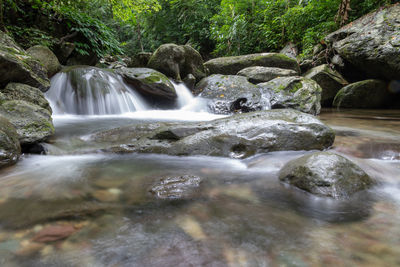 Scenic view of waterfall in forest