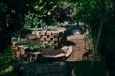 View of plants in garden